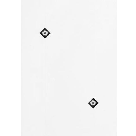 Ceramica Everest 33x46
