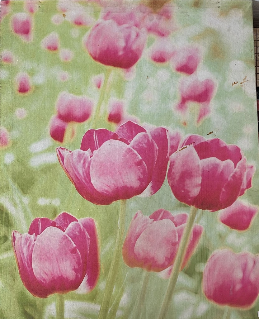 Cuadro Pintura Flores  60X80 CM